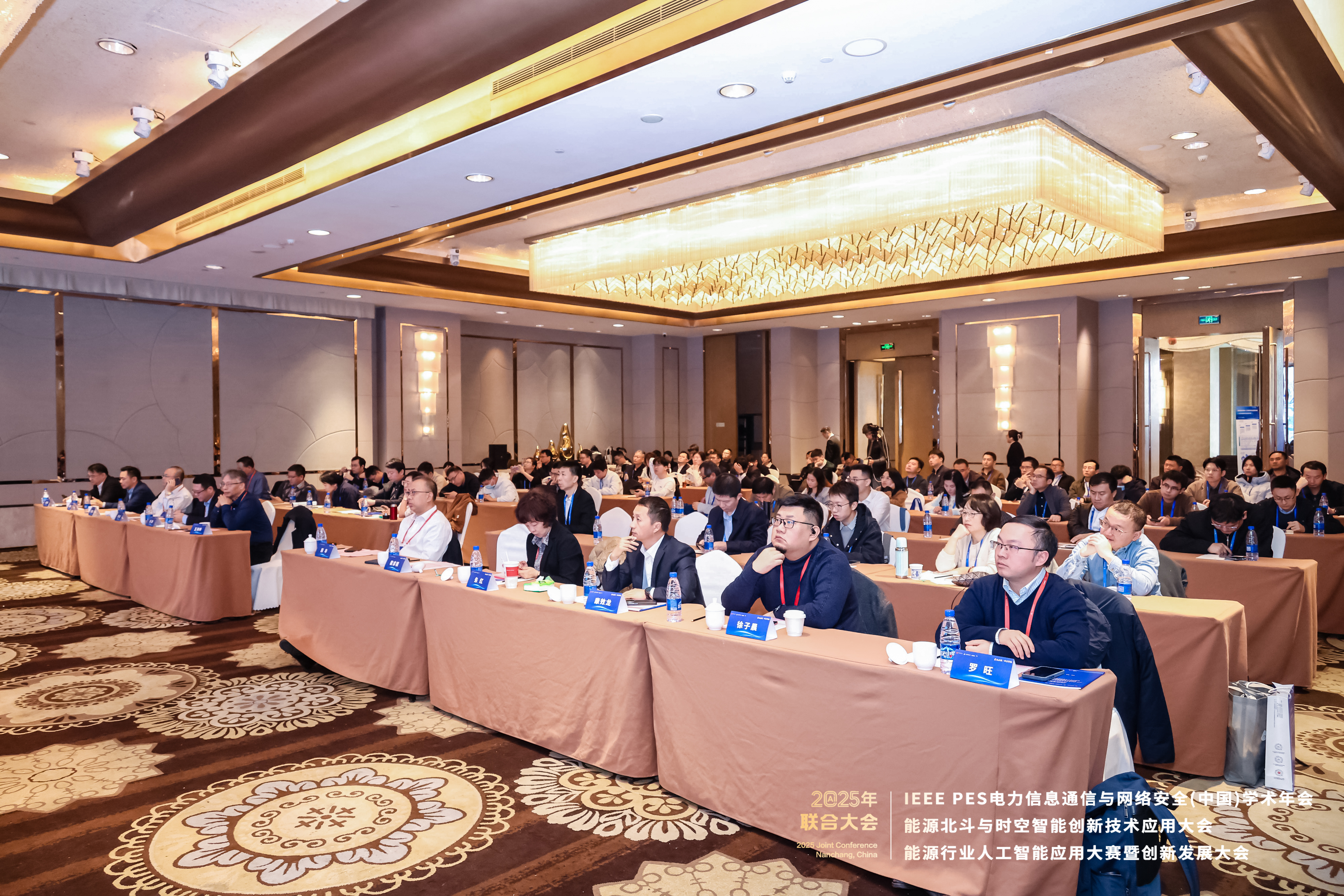 LEI_2446-opq4201764640